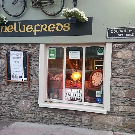 Nellie Fred's Pensionat Dingle