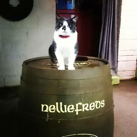 Nellie Fred's Pensionat