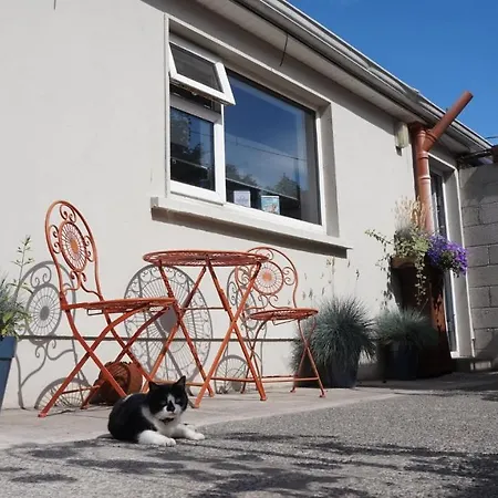 Nellie Fred's Dingle