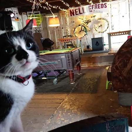 Nellie Fred's *